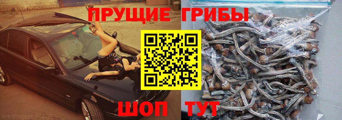 Галлюциногенные грибы ЛСД Сибай